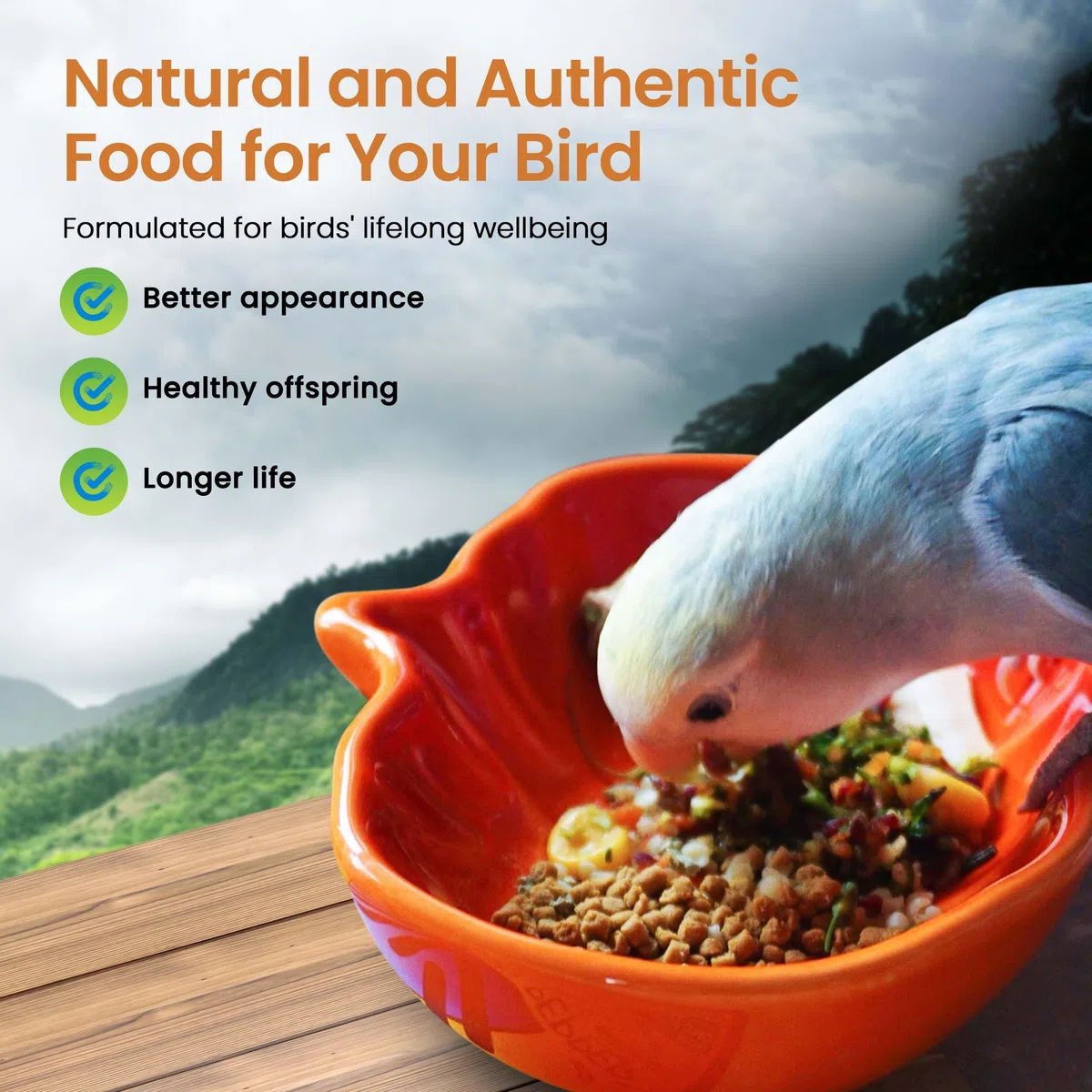 Harrison's Bird Foods Würziges hochwirksames fein – maximale Nährstoffformel für kleine bis mittelgroße Vögel, zertifiziertes biologisches, gentechnikfreies Haustier-Vogelfutter, tierärztlich