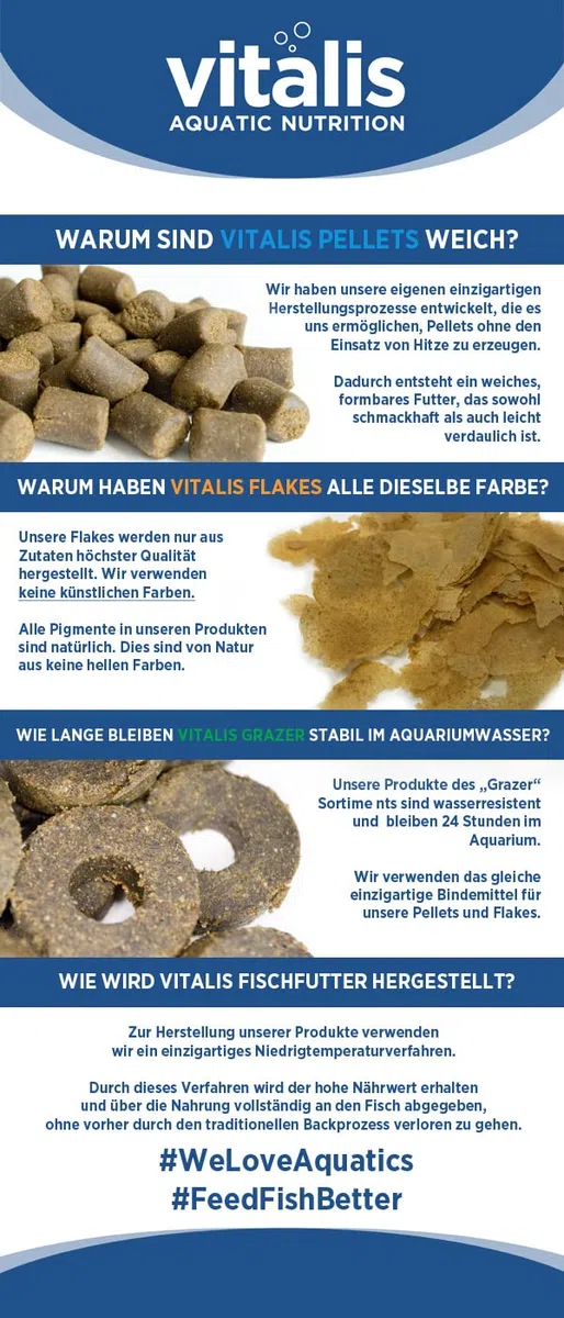Vitalis Marine Flakes Fischfutter für Teich & Aquarium | Flocken-Futter Fischfutterflocken für alle Fische | Gesund & gut verdaulich | Meerwasser & Süßwasser (250g)