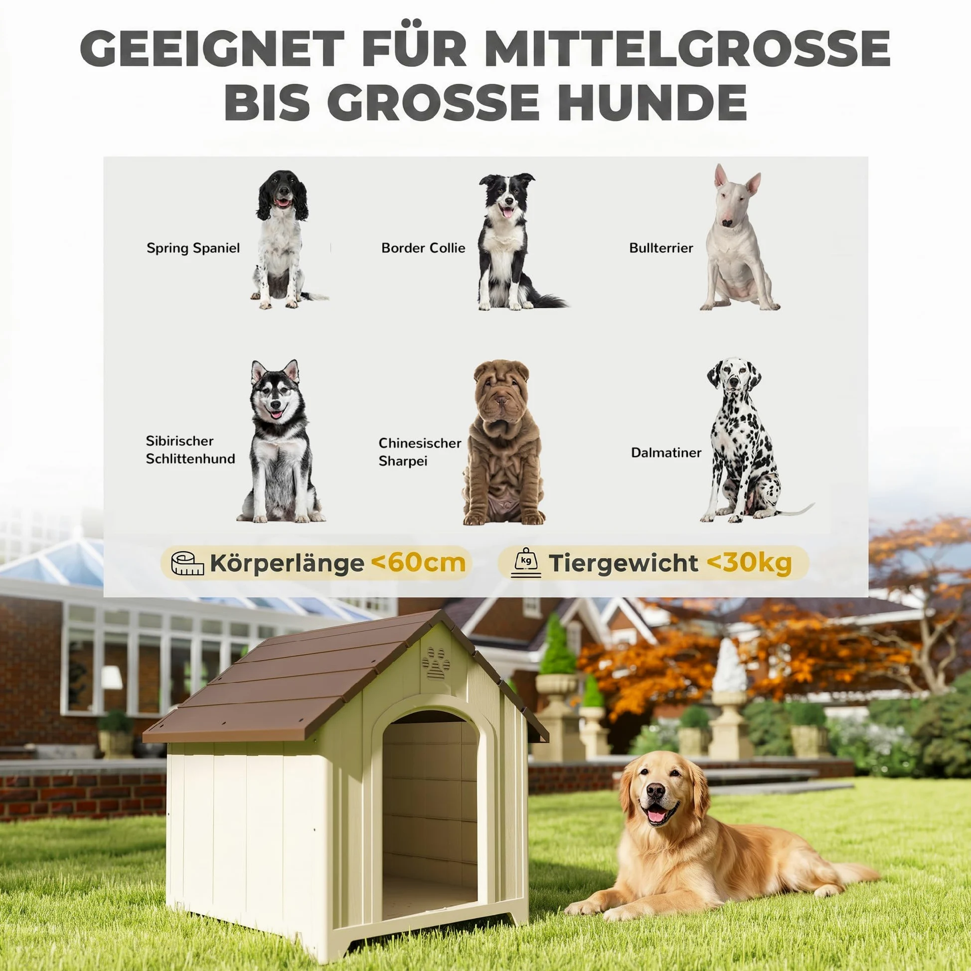 PawHut Hundehütte Wetterfestes Hundehaus für mittelgroße Große Hunde Beige | Erhöhte Hundehöhle mit Wasserfestem Dach Bodenankern Klauenförmige Lüftungsöffnung, Outdoor Hütte, Hunde Bis 30 kg