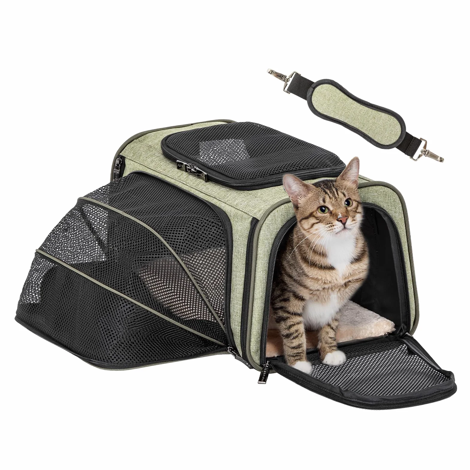 Petsfit Erweiterbare Haustier-Tragetasche, von Fluggesellschaften zugelassen, weiche Seiten, tragbare Katzen- und Hundetragetasche, mit abnehmbarer Plüschmatte, verschließbaren