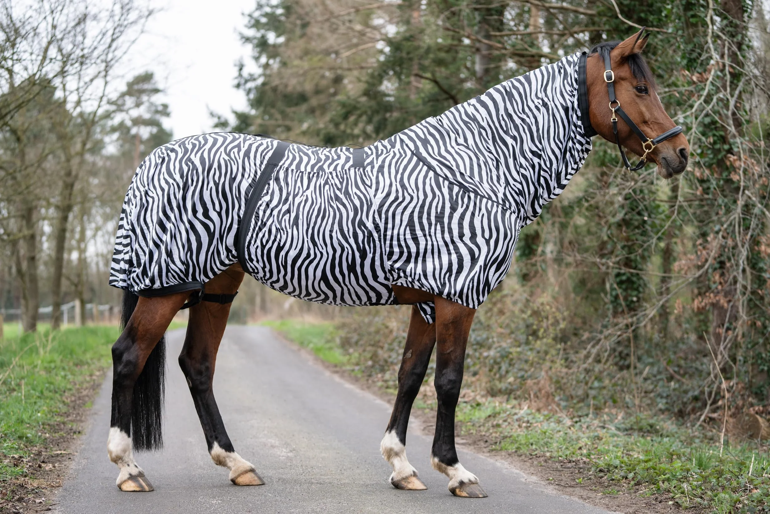 HKM zebra eczema blanket for horse, 145 cm, horse fly blanket