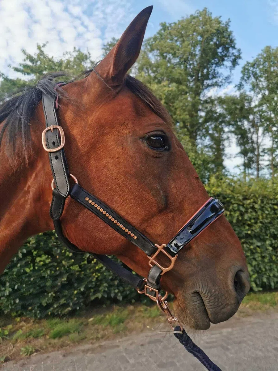 Esposita Lederhalfter mit Lackleder, Straß und anatomischem, gepolsterten Genickstück - Schwarz mit Rosegold (Full)