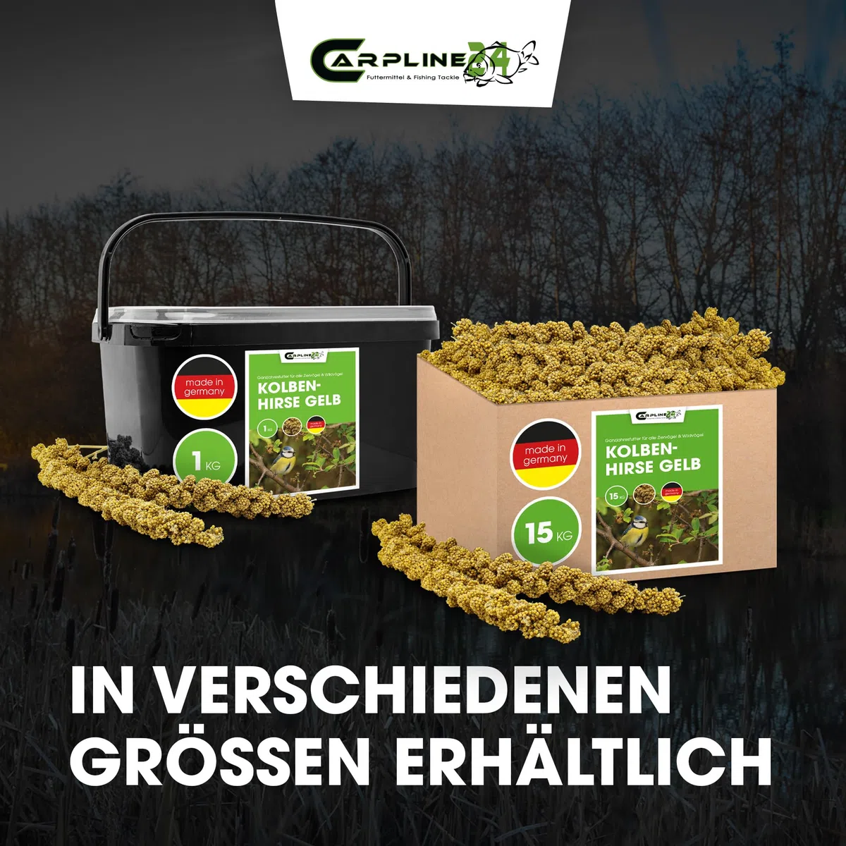 Kolbenhirse gelb 15 Kg - Ganzjähriges Vogelfutter - Für Ziervögel & Wildvögel