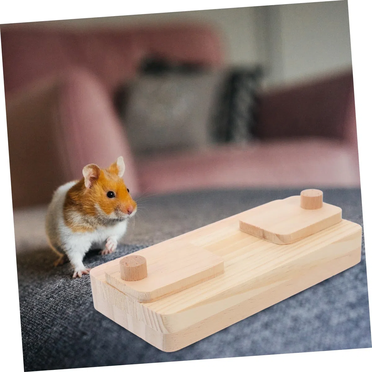 HANABASS 10stücke Interaktives Holzspielzeug Für Hamster Futterversteck Snack Tray Fördert Spiel Und Bewegung Für Kleintiere Natürliche Holzmaterialien Für Futterversteck
