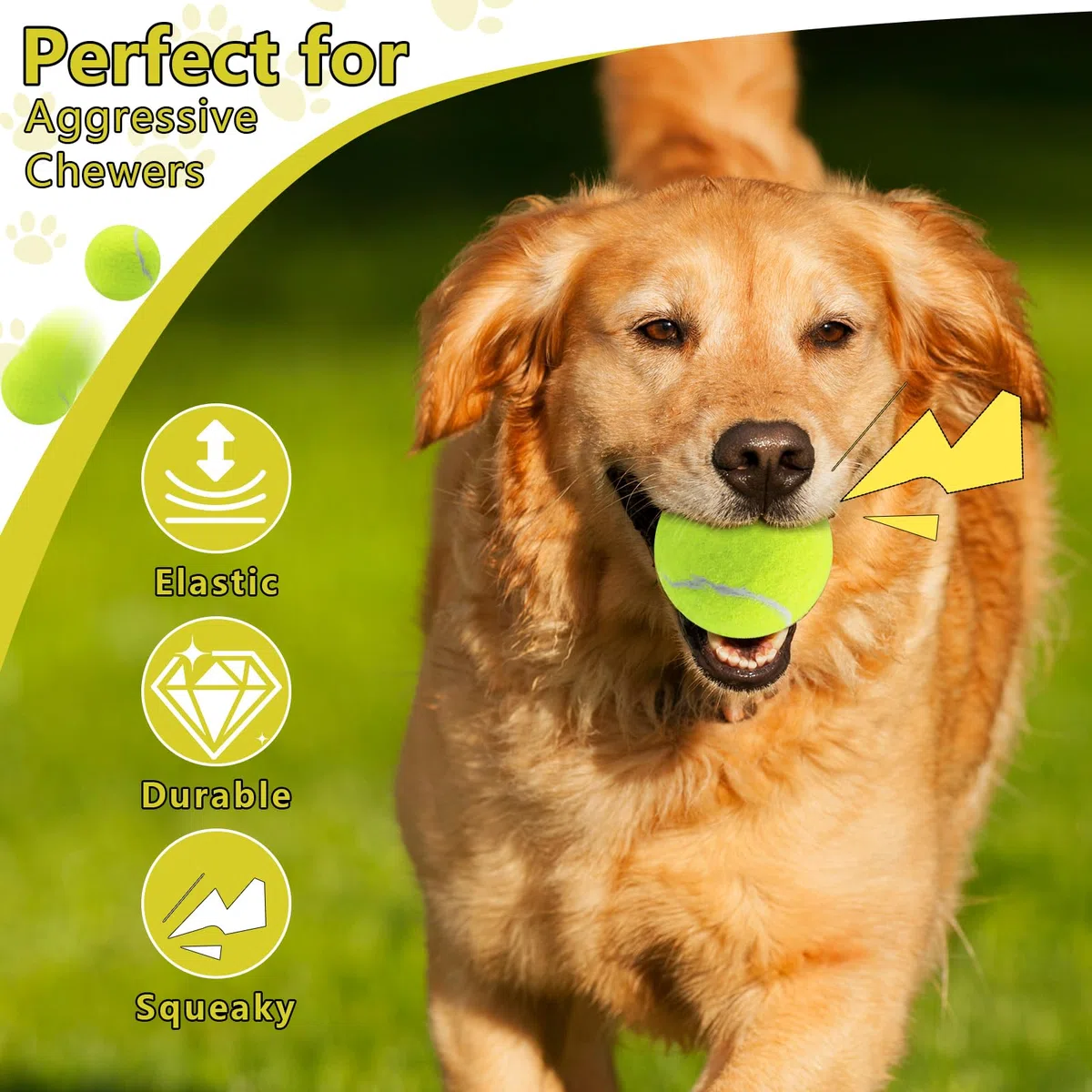 Swingers Quietschende Tennisbälle für Hunde, 6,3 cm, Trainingsball für Haustiere, Hunde, mit Netz-Tragetasche, leicht zu transportieren (mehrfarbig, 60 Stück)