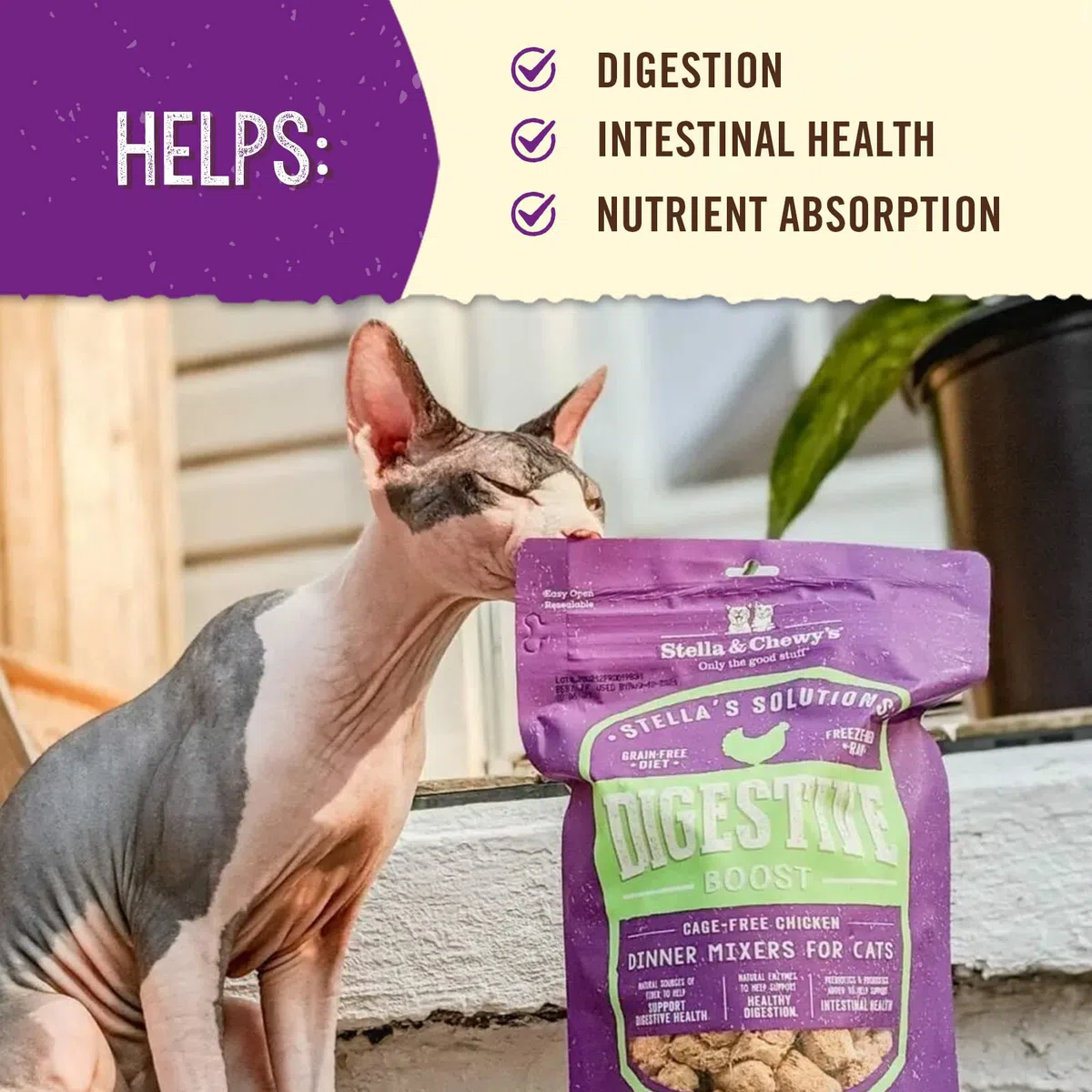 Stella & Chewy's – Stella's Solutions Digestive Boost – Käfigfreier Hühner-Mixer – gefriergetrocknet roh, proteinreich, getreidefreies Katzenfutter – 213 ml Beutel