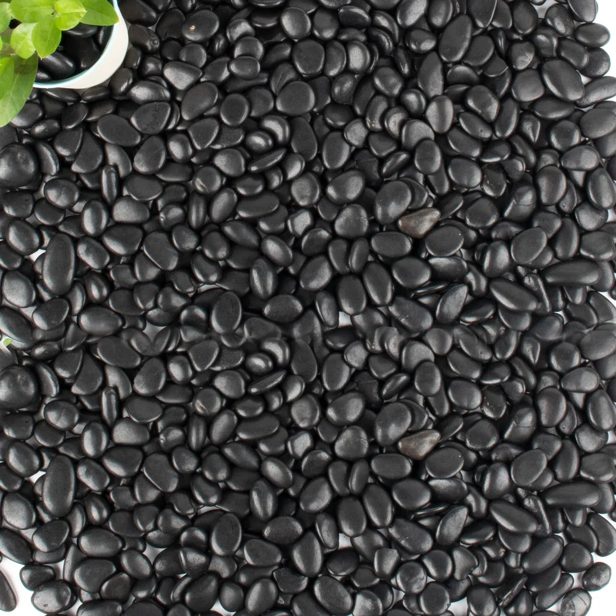 20,4 kg schwarze Kieselsteine für Pflanzen, Eintopfen, Sukkulenten, Aquarium, Vasen, dekorativer Garten, polierte Kiessteine, Steine