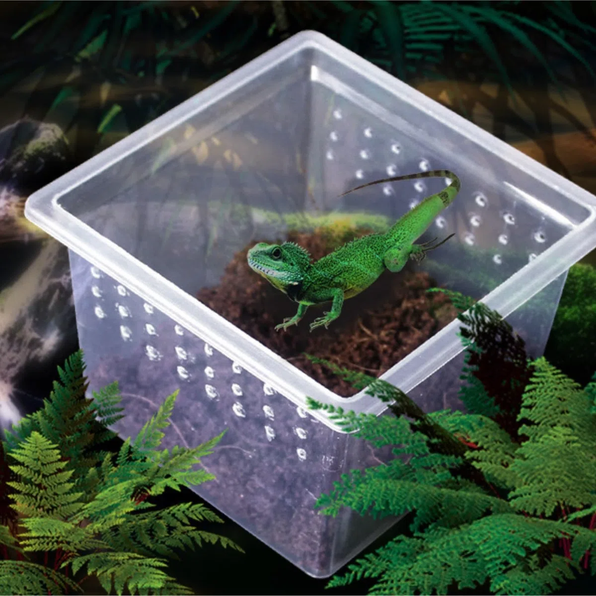 Reptilien Aufzuchtbox 12 Stücke Reptil Käfig Schlange Spinne Box Tragbare Insekten Zucht Box Reptile Zuchtbox