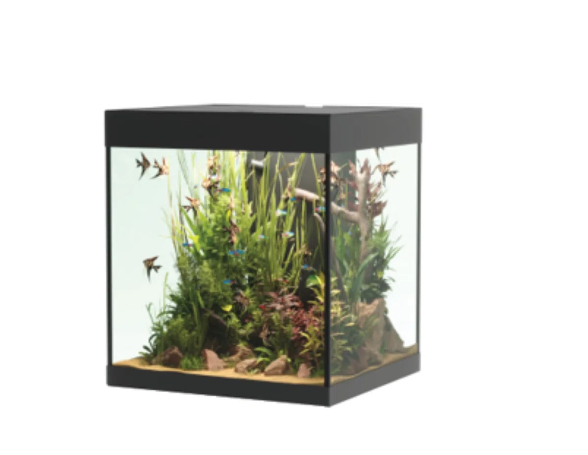 Opera Aquarium 80 Black