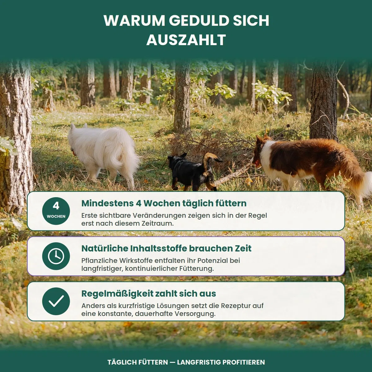 HELLOBELLO kaltgepresste Gras- & Kotfresser Drops für Hunde 1x350g Soft mit Ulmenrinde - getreidefrei, Flohsamenschalen, Melisse, Kamille und Pflanzenkohle - gegen Sodbrennen und Grasfressen