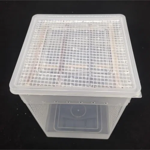 Belüftete Mantel-Terrarium-Box, transparenter Insekten-Zucht-Käfig mit sicherem Deckel für Spinne, Echsen- und kleine Haustierbeobachtung, einfach sauberes Plastikgehäuse Home Habitat, weiß
