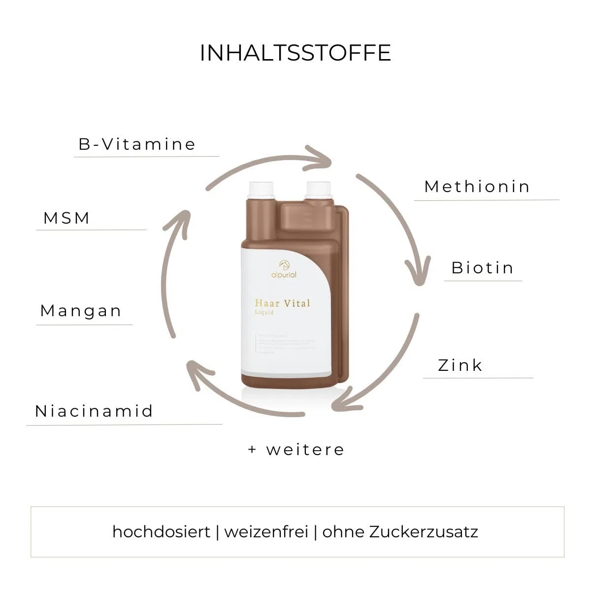 Haar Vital – Ergänzungsfuttermittel für Pferde – mit Biotin, Zink & B-Vitaminen – geeignet im Fellwechsel – für Haut, Fell & Haarstruktur – vom Tierarzt entwickelt