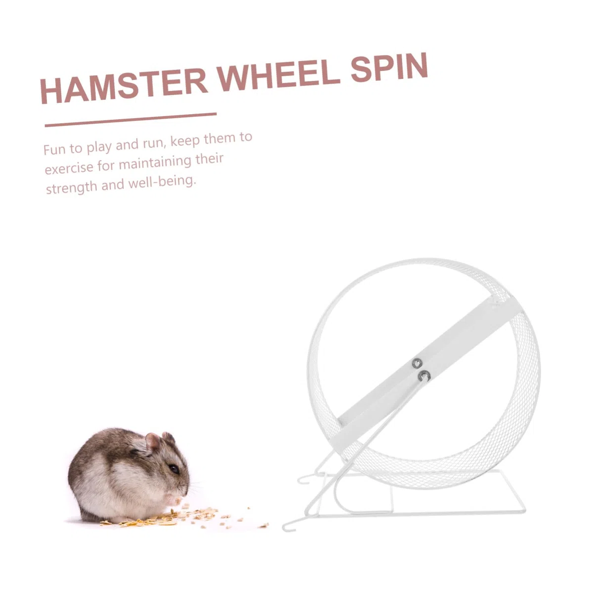 Leises Hamsterlaufrad aus Eisen mit Halterung, Weiß | Trainingsspielzeug für Kleine Haustiere, Sichere Laufbewegung, Geeignet für Hamster und Eichhörnchen