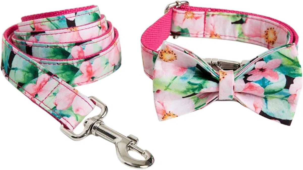 Haustierhalsband, Set aus Hundehalsband und Leine mit modischem Aufdruck. Verstellbares Fliege Metallschnalle Schnellverschluss, verdrehsichere(Pink,S)