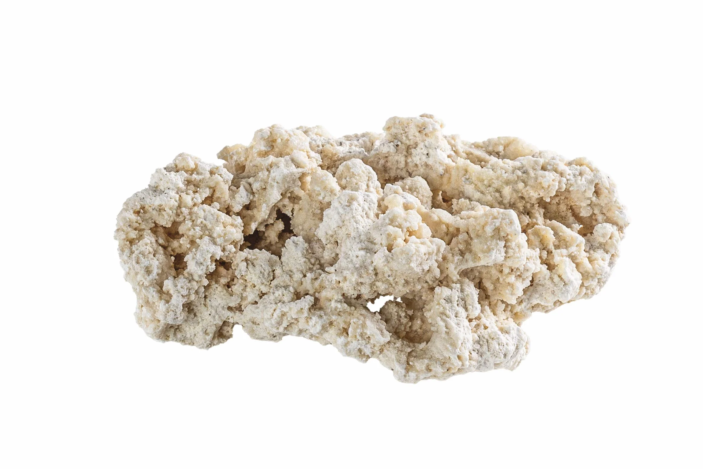 Riffgestein groß Meerwasseraquarium 25-40 cm 20 kg - myReef-Rocks Aragonit | natürliches Aragonitgestein, porös, schadstoffrei, für Riffaufbau, Bakterienbesiedlung, Aquascaping, Riffaquarium, Meerwasser