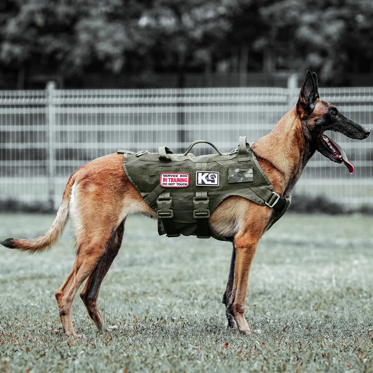PETAC GEAR Taktisches Hundegeschirr kein Ziehen für große K9 Arbeitshunde Militärhunde Weste Polizeidienst Training Hunde Molle Geschirr mit Griff ..