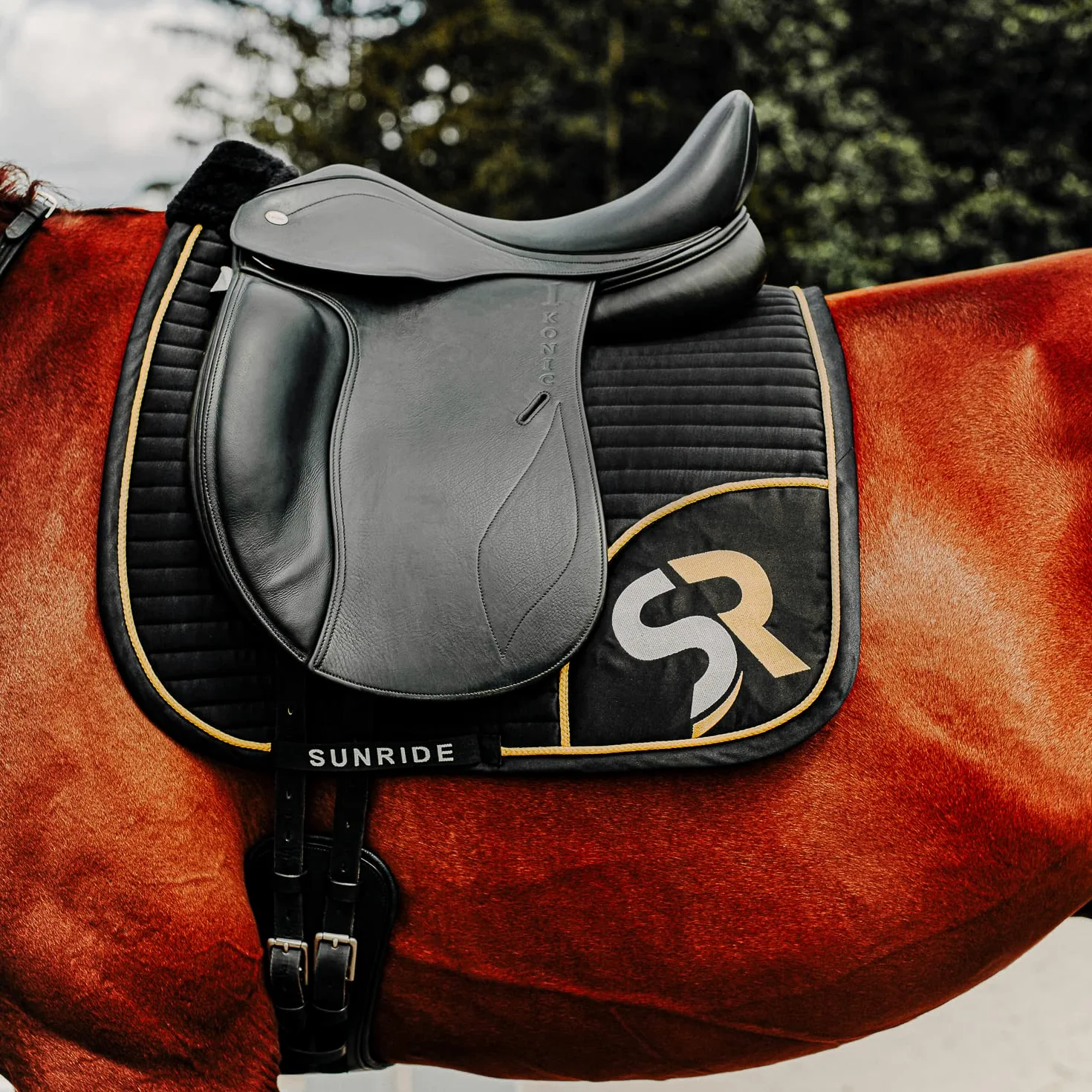 Sunride Kurzgurt Monaco für Pferde aus weichem Echtleder mit D-Ring für Hilfszügel (50 cm, schwarz)