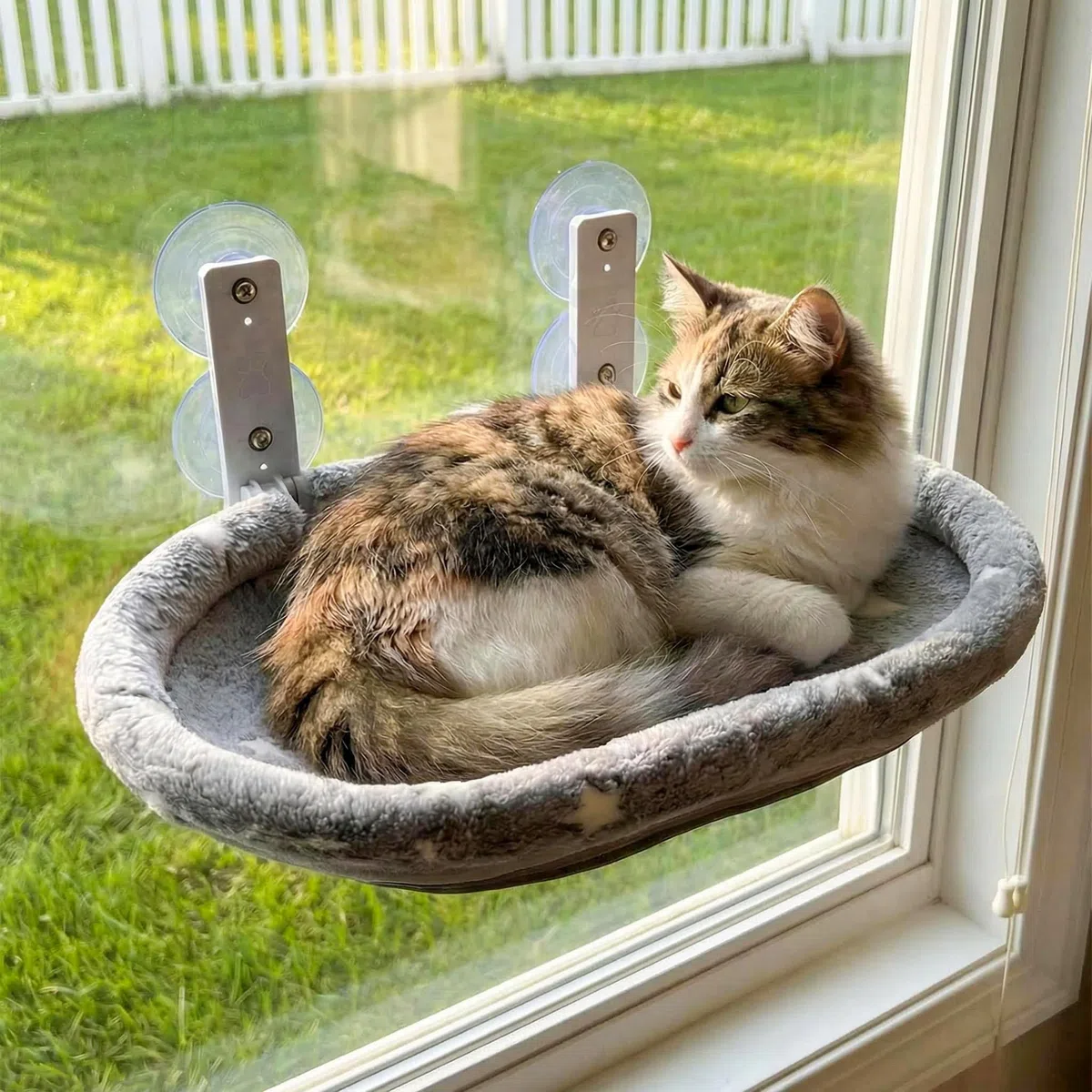 Katzen-Fenstersitz-Hängematte – leuchtet im Dunkeln, schnurlos, faltbares Haustierbett mit stabilem Metallrahmen und starken Saugnäpfen, Sterndruck-Ruhesitz für Indoor-Katzen mit