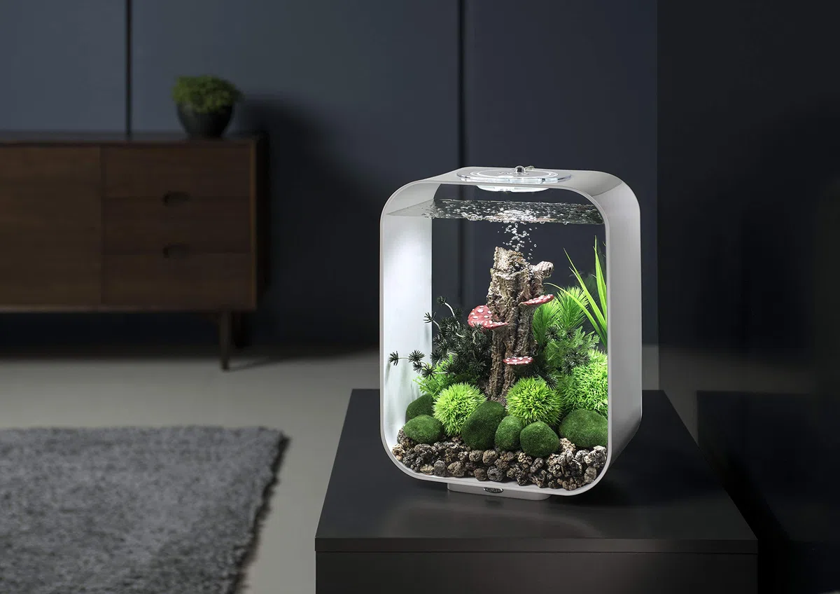 biOrb 72049 LIFE 15 LED, weiß, 15 L Tankvolumen - Aquarien-Set mit Filtersystem, LED-Beleuchtung, Keramik-Bodengrund aus robustem Acryl-Glas