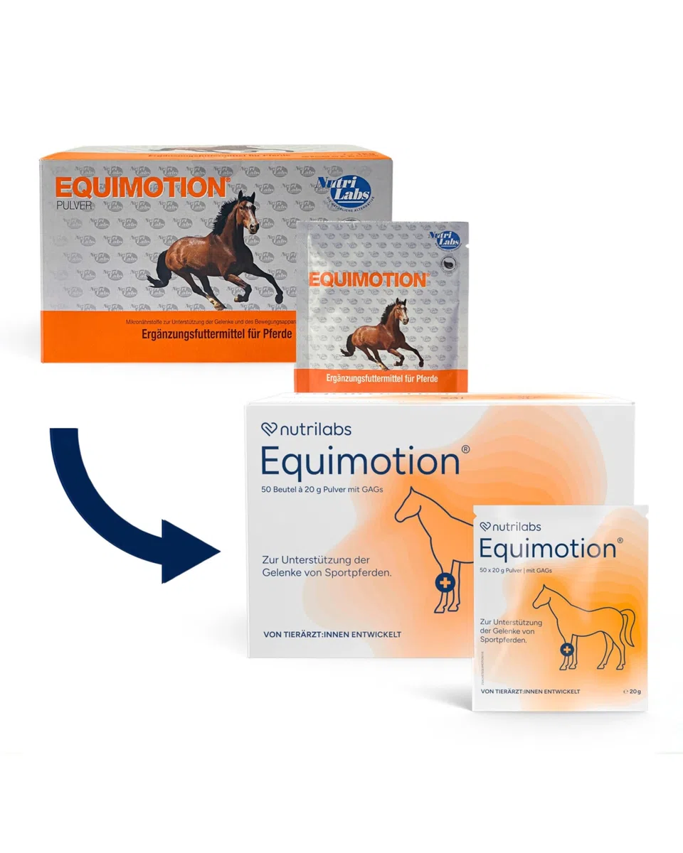 EQUIMOTION Pulver f.Pferde 50X20 g