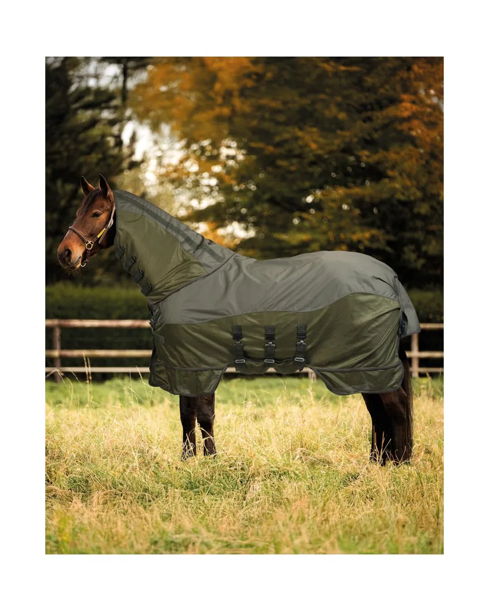 4Horses Fliegen- & Regendecke Manchester, Pferdedecke mit Insektenschutz, wasserabweisendem Rücken, Mesh und abnehmbarem Halsteil