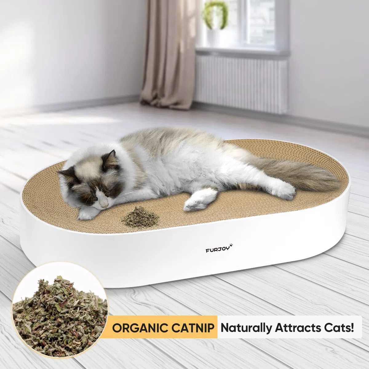Kratzbaum für Katzen, 63 x 35 x 10 cm, oval, Wellpappe, rundes Kratz-Lounge-Bett, Sofa, Katzen-Kratzschale mit Bio-Katzenminze [Home Clean Design mit Kratzbox]