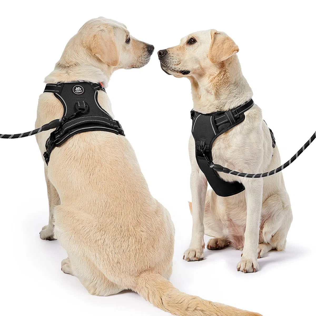 Nestroad Hundegeschirr gegen Ziehen, verstellbar, Oxfordgewebe mit Leine, reflektierend, kein Würgen, Haustiergeschirr zur einfachen Kontrolle, weicher Griff für kleine Hunde, Schwarz, Größe XS