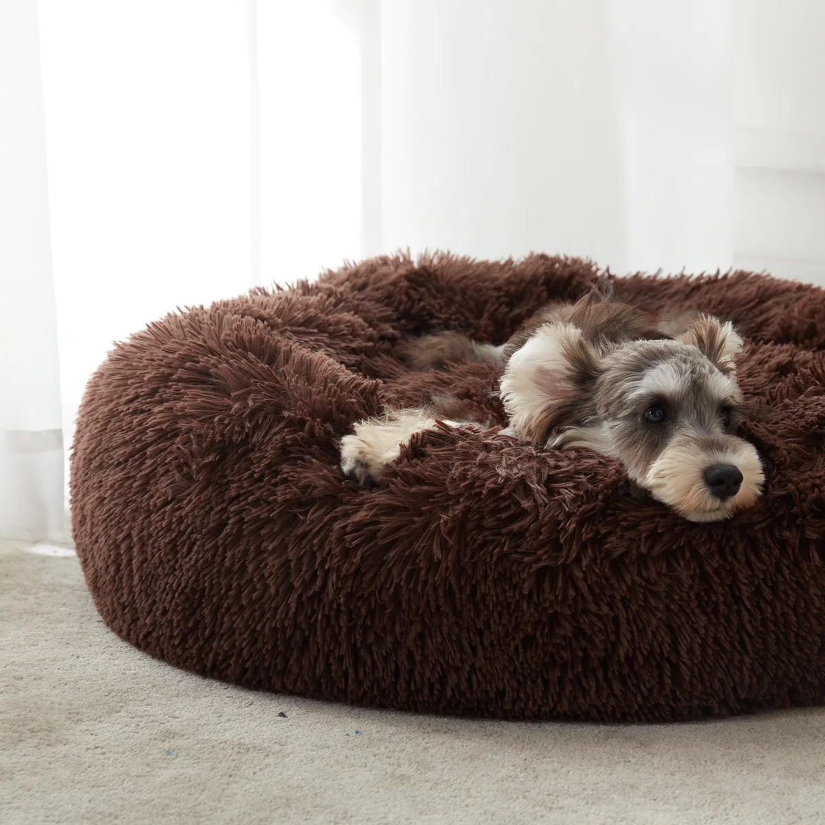 Western Home Hundebett Run, Katzenbett Flauschig, Hundekissen Kleine Hunde,Hundebett Waschbar,Hundekorb,Katzenkorb Zum Schlafen 60 cm,Dunkelbraun