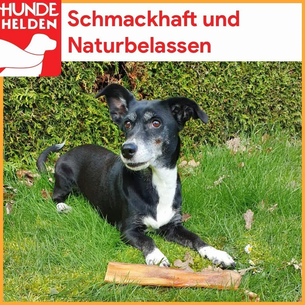 BREERs Getrocknete Rindernackensehnen für Hunde 10 Kg aus eigener Deutscher Herstellung, Kauartikel für Groß & Klein