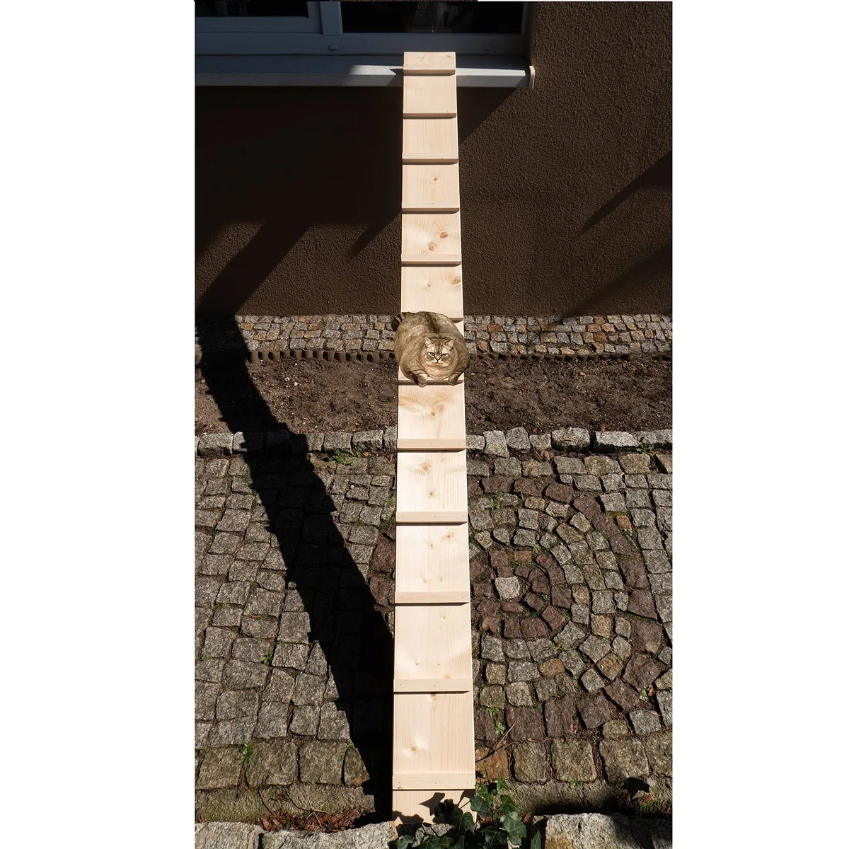 Katzenleiter Katzentreppe Katzenstufe für Balkon Treppe 3,6m mit Metallhaken