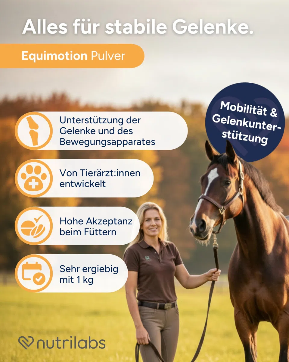 EQUIMOTION Pulver f.Pferde 50X20 g