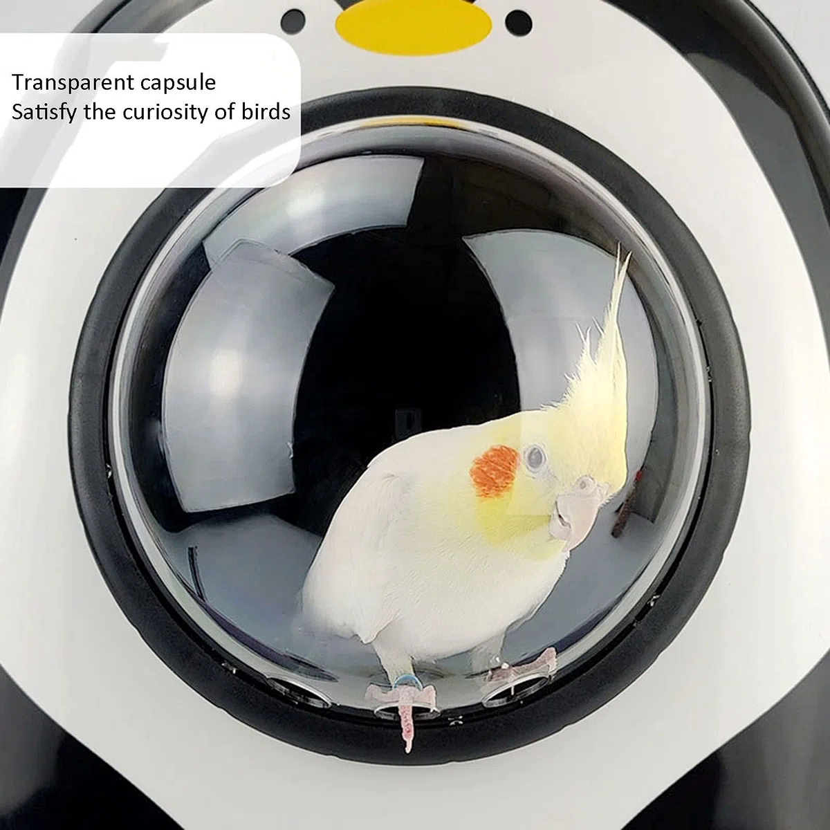 Pet Products Space Capsule Rucksack-Tragetasche – Leichter, transparenter Vogelkäfig für Reisen mit Bubble Dome, ideal für Papageien, Katzen, Hunde und Kleintiere.