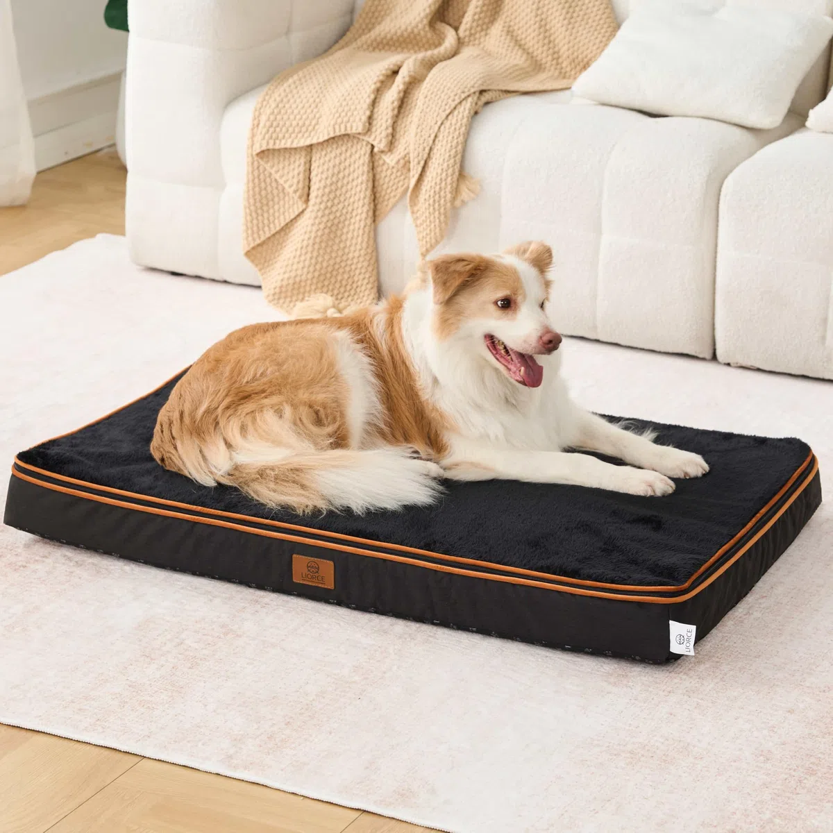 LIORCE Shredded Memory Foam Hundebett Kissen, 12,7 cm dick, mittelgroß, wasserdicht, orthopädische Haustierbett-Matte mit abnehmbarem, waschbarem Bezug, Grau