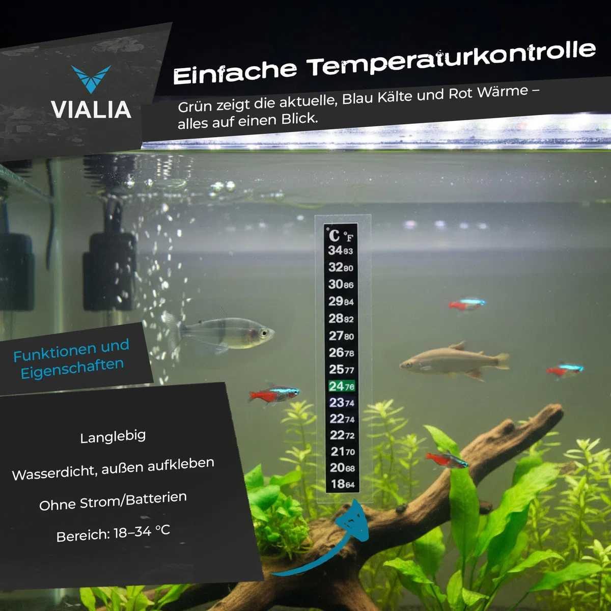 Aquarium Komplettset 60x30x30 cm | 54 Liter Glasbecken mit Juwel LED Abdeckung Schwarz | Starter-Set inkl. Heizer, Thermometer, Aufbereiter & Futter | Stoßfestes Floatglas & Diamantschliff