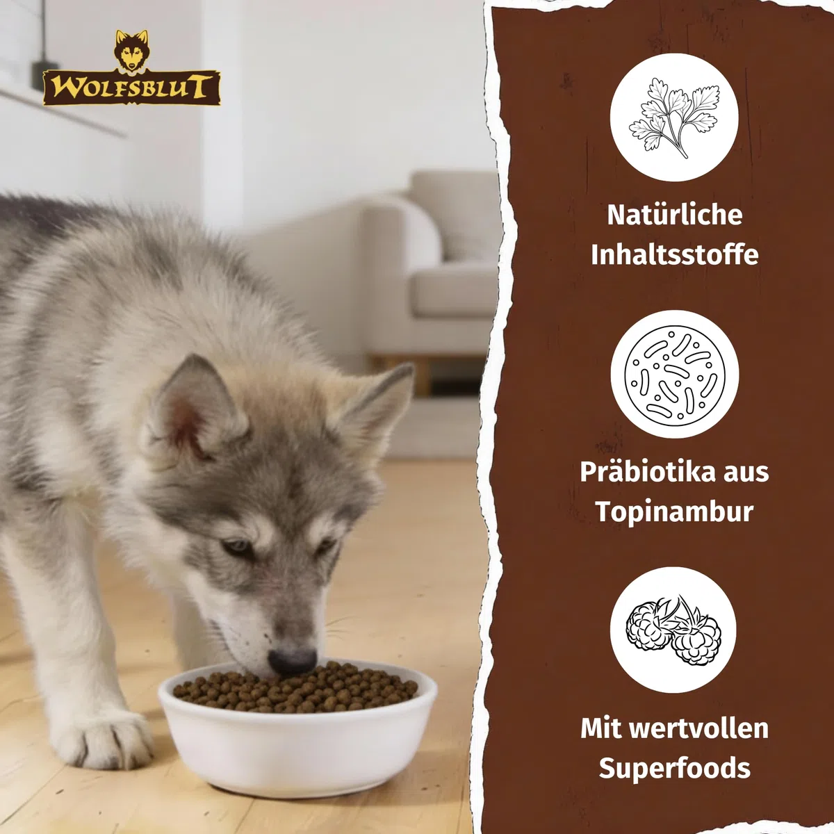 WOLFSBLUT – Wild Duck Large Breed Puppy | Trockenfutter mit natürlichen Zutaten für große, heranwachsende Hunde. Getreidefreies Alleinfutter ohne Zusatzstoffe im Beutel | 12,5kg Ente