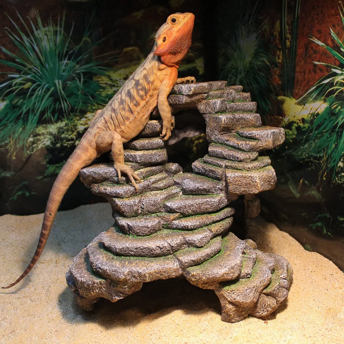 Penn-Plax Reptology Schiefer- und Höhlenversteck – dekoratives Harz für Aquarien und Terrarien – ideal für Reptilien, Amphibien und Fische – extra groß