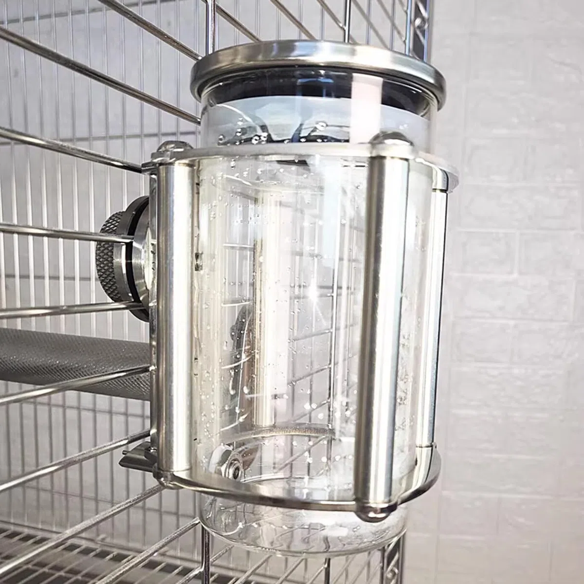 Robuste Glas-Wasserflasche für Haustiere, Edelstahl, tropffreie Trinkflasche, 350 ml, kaufester Wasserspender für Papageien, Vögel, Kaninchen und Nagetiere