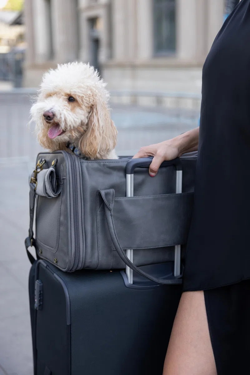 Noah & Paw Katzentragetasche Hundetragetasche für Kleine Hunde, TSA-Zertifiziert Airline-Zugelassen 46x28x28cm Reisebox Haustiere, Kleines Haustierkäfig, Matratze Inklusive, Anthrazit Kunstleder
