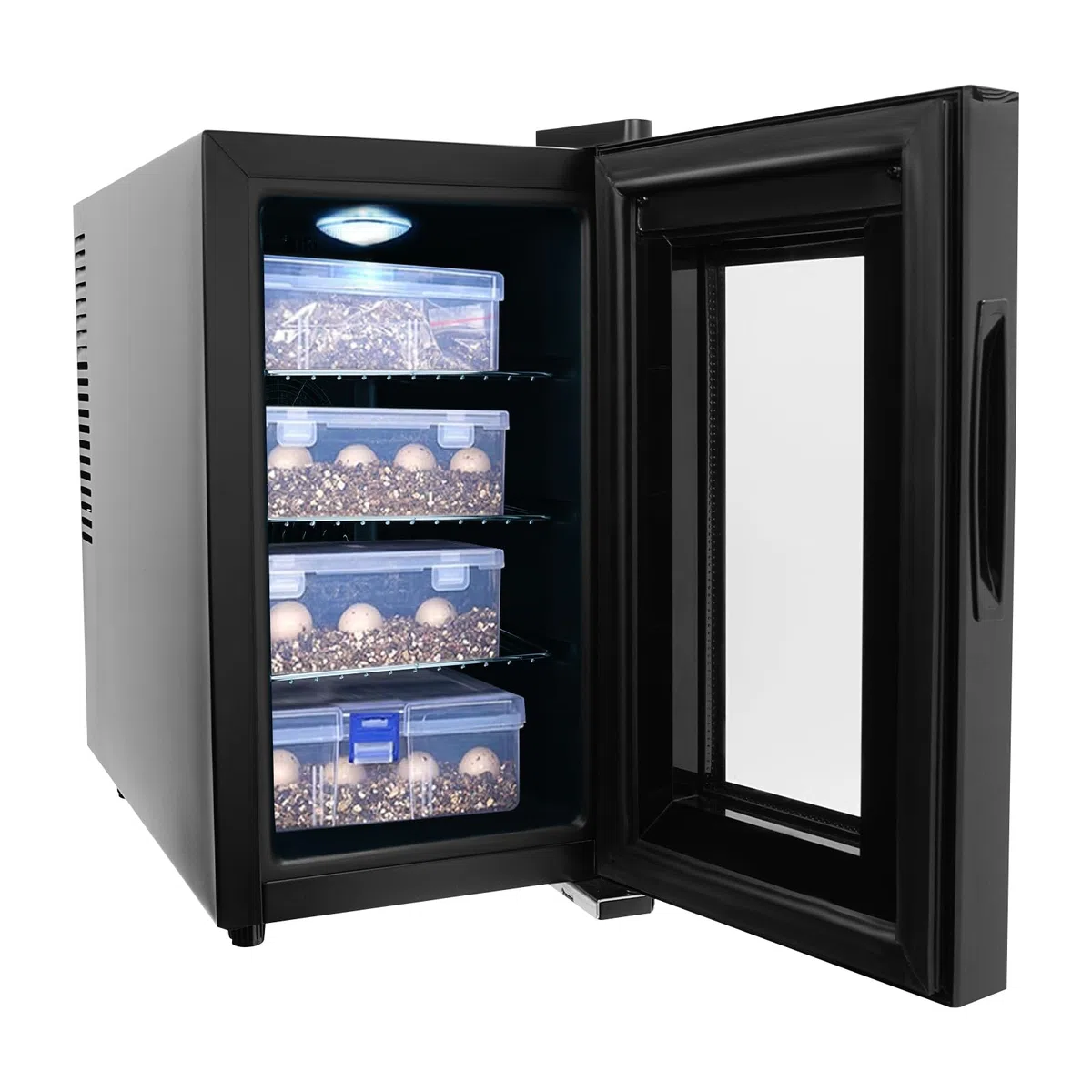 Reptilien-Ei-Inkubator 23L Groß Brutapparat Inkubator Schildkröten 70W 220V Automatisches Brutgerät Lab Kühlen und Heizen 10-40°C Präziser Temperaturregelung & LED-Display für kleine Reptilien