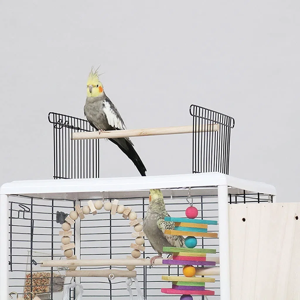 Käfig Für Den Haushalt, Großer Vogelkäfig, Interaktiver Metall-Papageienkäfig Mit Zuchtbox Und Vogelkäfig, Verwendet Für Myna-Papagei, Kanarienvogel, Liebesvogel, Schwarzer Wind, Papageien-Vogelkäfig