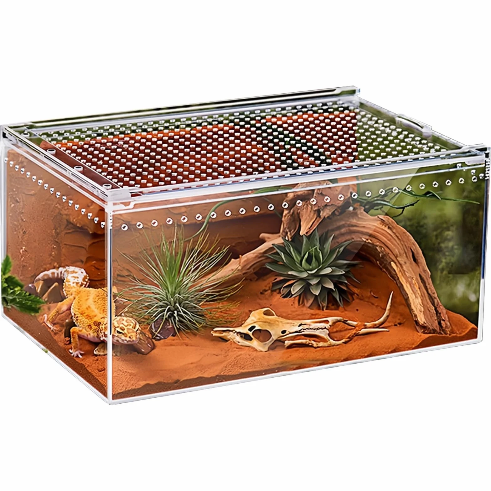 Reptilien Terrarium Box Magnetisches Acryl heimchenbox Terrarium stapelbares Reptil Fütterungsbox für Spinnen Skorpion Käfer Gehörnter Frosch