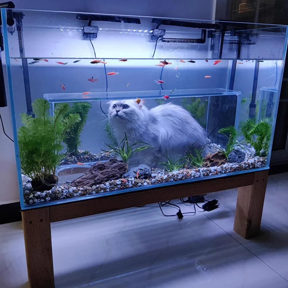 Luxus-Katzenspielzeug-Aquarium, Bodenstehende Katzenunterhaltungsfischtank, Rechteckige 2 in 1 Aquarium Für Fisch & Katze, Mit Maser Holzbasis, Haustier-Hausausstattung
