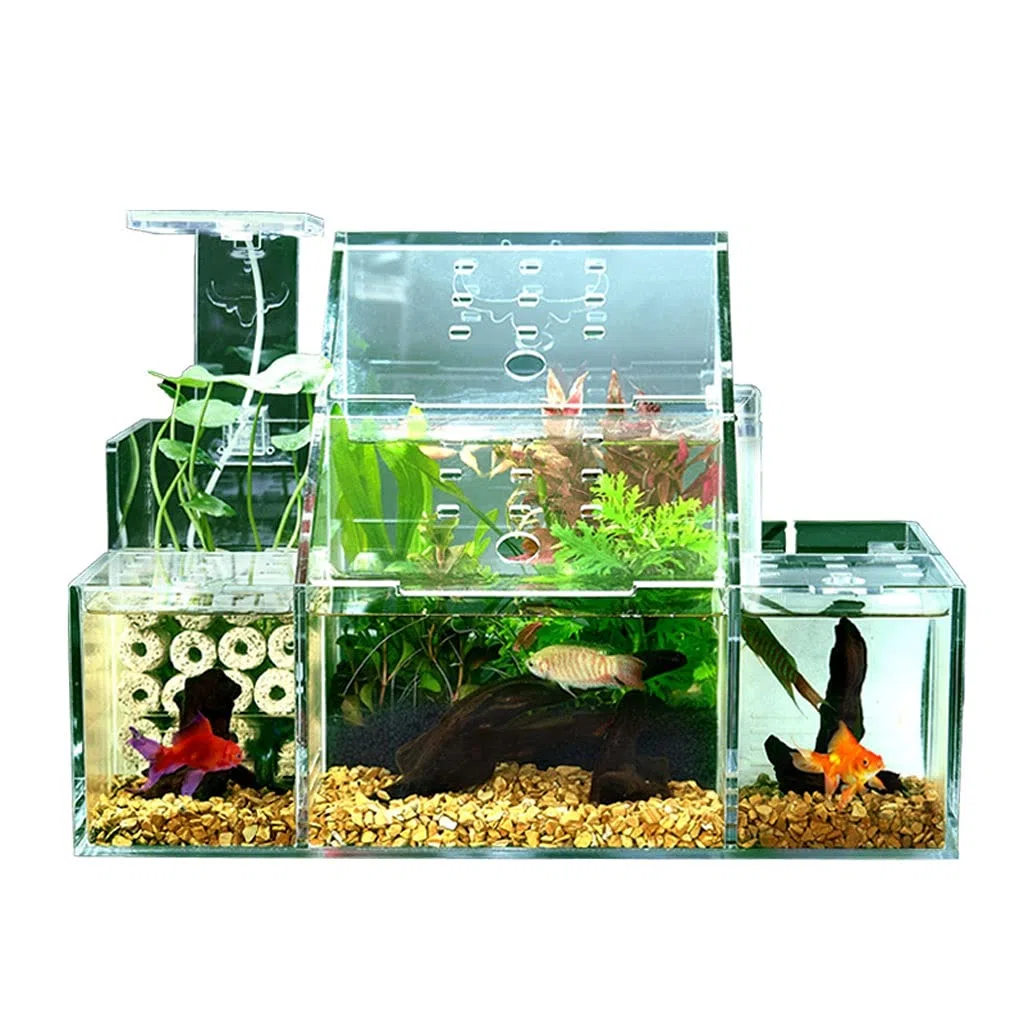Aquarium Desktop Kreative Ökologische Betta Aquarium Zierfische Tank Led Licht Filter Pumpe Hause Büro Aquarium Dekoration Goldfischbecken