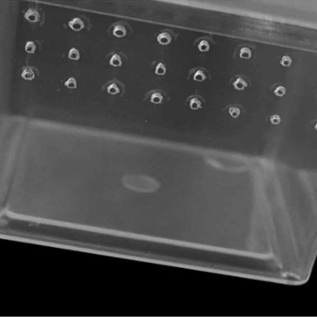 Reptilien Aufzuchtbox 12 Stücke Reptil Käfig Schlange Spinne Box Tragbare Insekten Zucht Box Reptile Zuchtbox