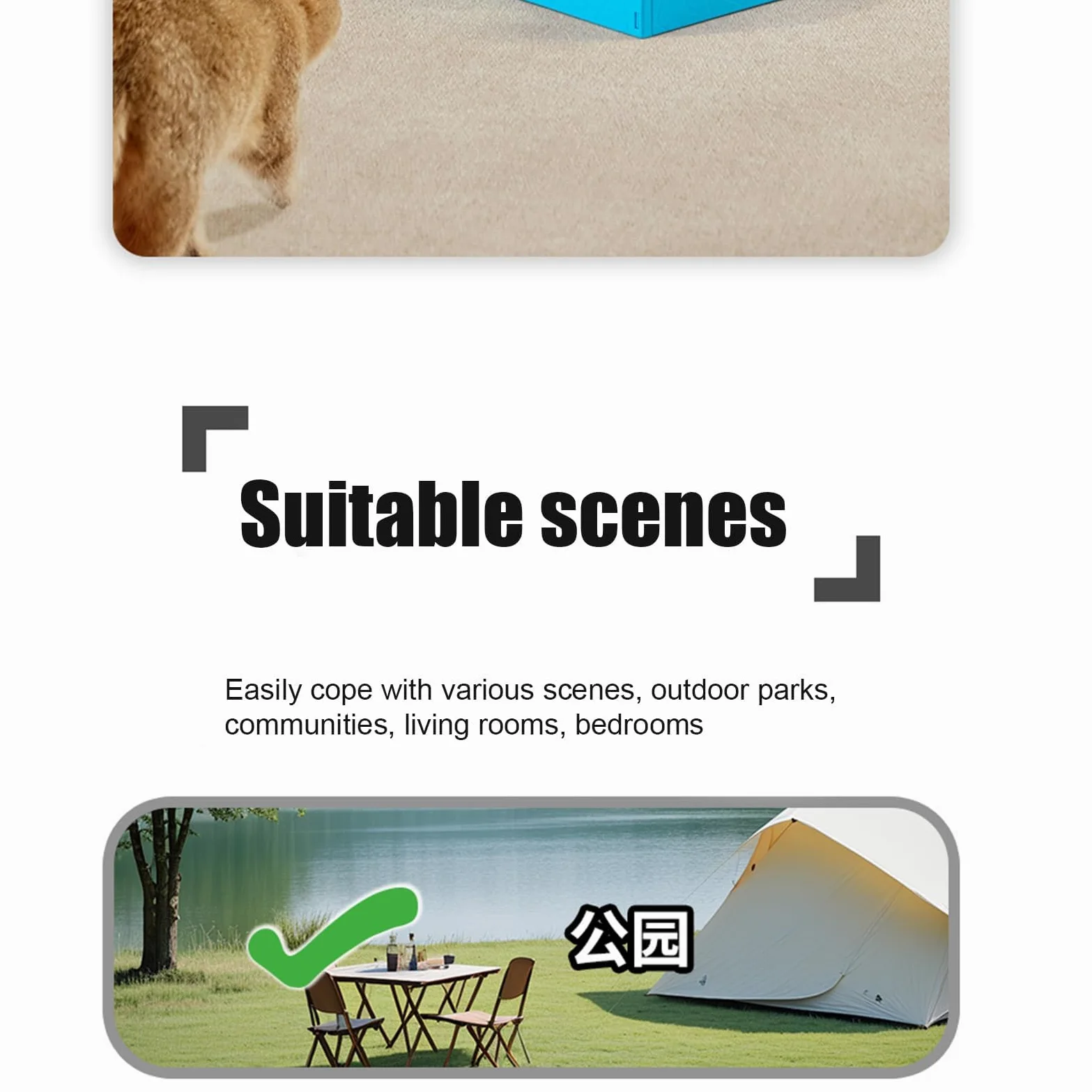 Katzenspielzeug, Interaktives Katzen-Puzzlespielzeug | for den Innen-Selbstspiel-Langeweile-Geburtstag im Freien-Wohnzimmer-Park(Blue)