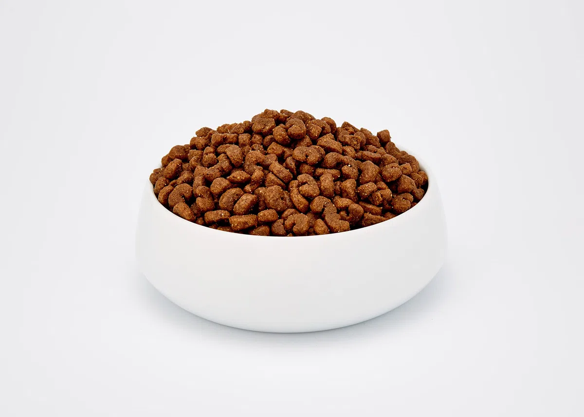 Sanabelle Urinary | Katzentrockenfutter für ausgewachsene Katzen mit empfindlichem Harnsystem | 1 x 10 kg & Adult mit Geflügel | Katzentrockenfutter für ausgewachsene Katzen | 1 x 10 kg,