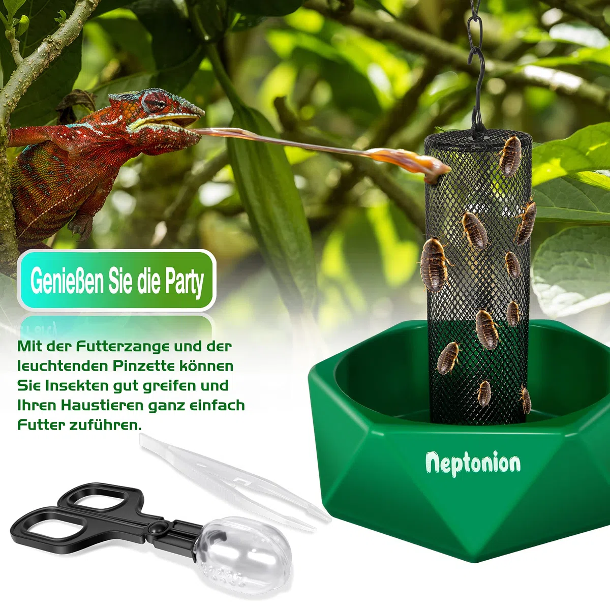 hakbare Chamäleon-Futterschale Käfer Bar mit Säule für Beute zu Klettern und zu bewegen, geeignet für Eidechse, Bartagame, Leguan, Gecko, Kröte, Frosch