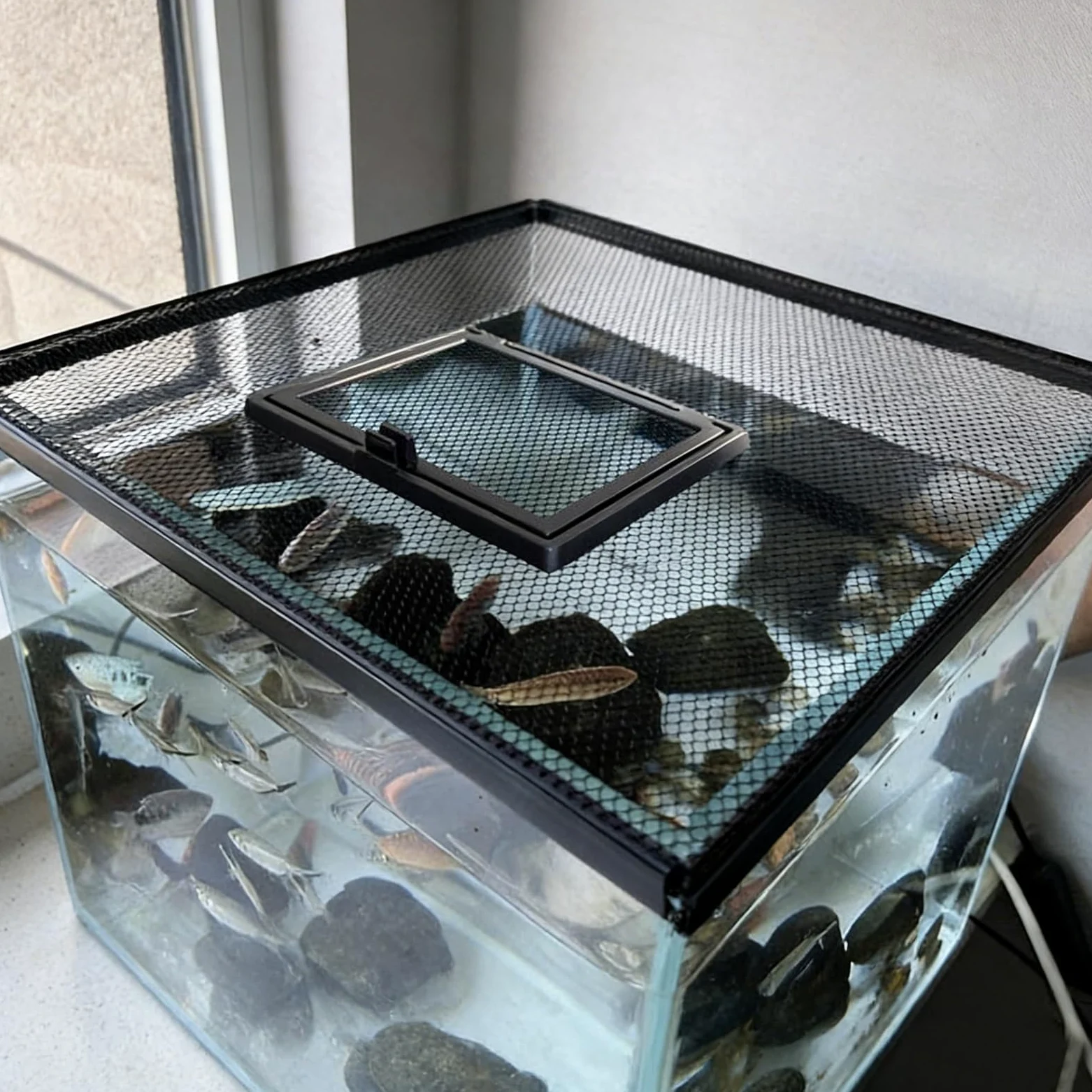 Magnetischer Aquarium-Deckel, Netznetz mit Futteranschluss, Anti-Sprung-Abdeckung für Aquarien (80 x 35 cm) – schützt Fische vor Herausspringen
