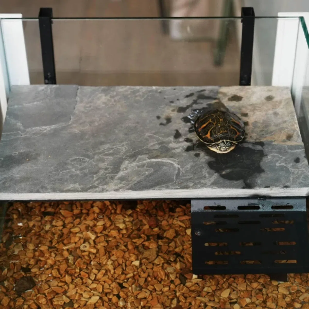 hängende Schildkrötenplattform leicht zu befestigen Schildkröten- Sonnenplatz rutschfest basking Plattform für Aquarium, Groß, Verbesserter Ausbruchschutz