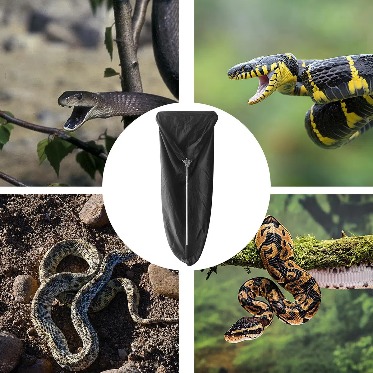 Snake Catcher - Teleskopische Tasche für Schlangenfang, Netz zum Fangen von Schlangen, verstellbare Länge für Reptilien mit Teleskopstange, mobiler Schlangenfang